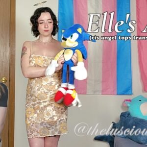 Bodacious brunette angel dressed in a brown floral mini dress holding up a sonic the hedgehog plushie, a small blonde twink in the corner wearing a dark grey cropped t-shirt. Text reads "Elle's Angel (cis angel tops trans twink)